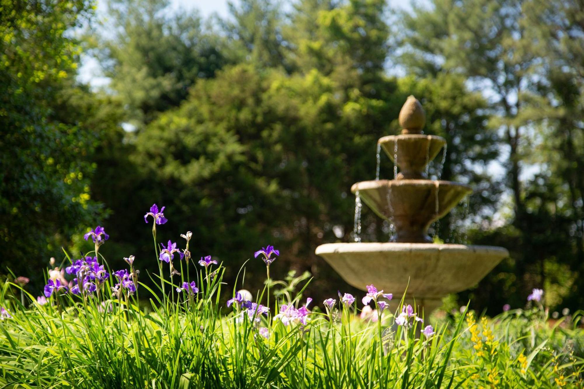 Brampton 1860 Bed & Breakfast Chestertown Luaran gambar